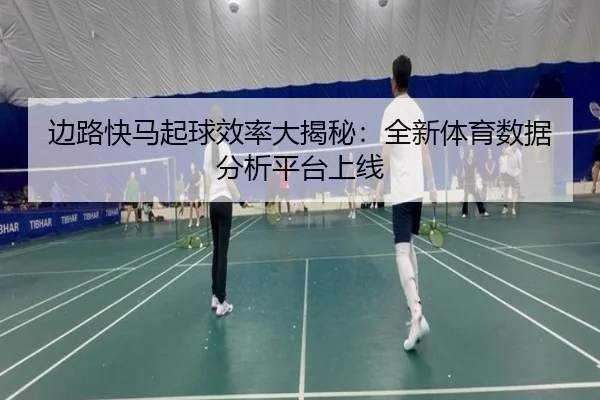 边路快马起球效率大揭秘：全新体育数据分析平台上线